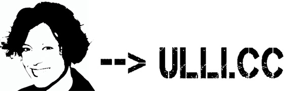 Ulli Koch IT Consulting-Logo